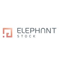 Elephant Stock