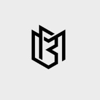 Magnetic Bag Company