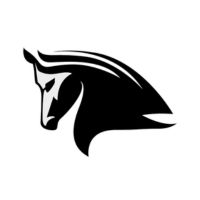 The Stampede Network